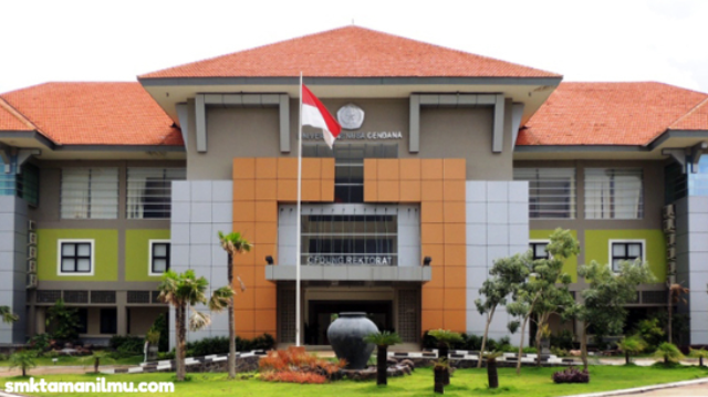 Universitas Terbaik di Kupang